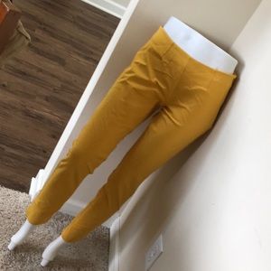 Mustard Theory the hot winter color